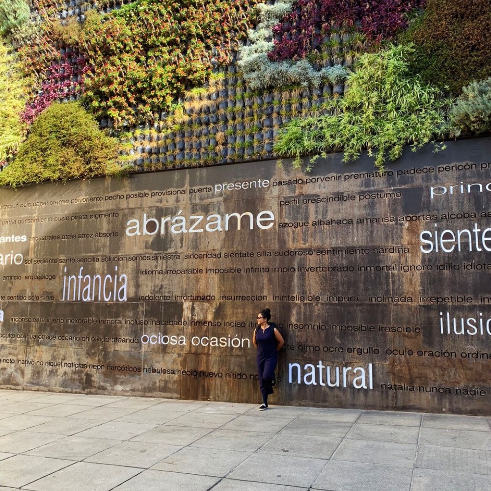 Das Ende vom Anfang – Vanessa