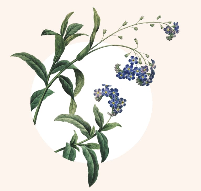 Home - Das Ende vom Anfang